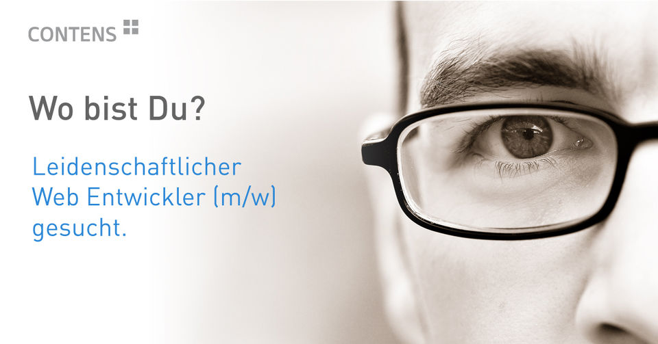 20150618_webentwickler
