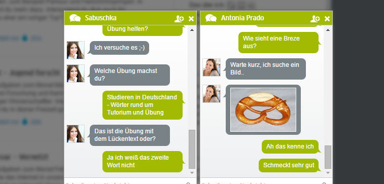 20150728_goethe_dfd_chat_1